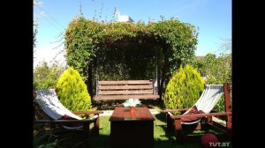 ДАЧА, как уместить все на 5,5 сотках