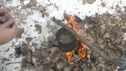 Молчаливый Бушкрафт в зимнем лесу