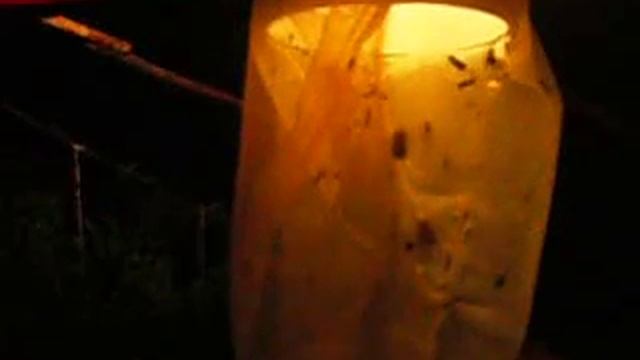 защита растений - томаты без химии смотреть онлайн