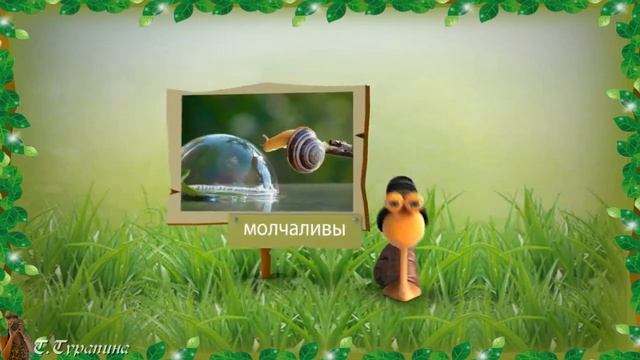 Забавные улитки. смотреть онлайн