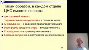 Анатомия. Функциональная анатомия конечного мозга