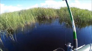 Пять минут рыбалки на р. БУРЛА,