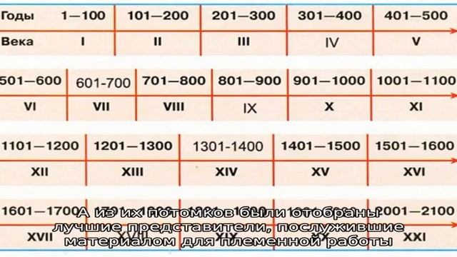 Как выбрать кличку для коня? смотреть онлайн