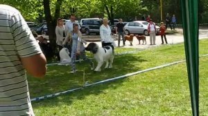 Jonava dog show-2012-05-05