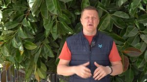 Кофемолка для эспрессо! Без регулировки помола и без жерновов.