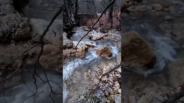 Бамбарбия...
