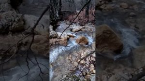 Бамбарбия...