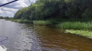 Троллинг на тейл спиннеры и другие приключения на реке Сухона