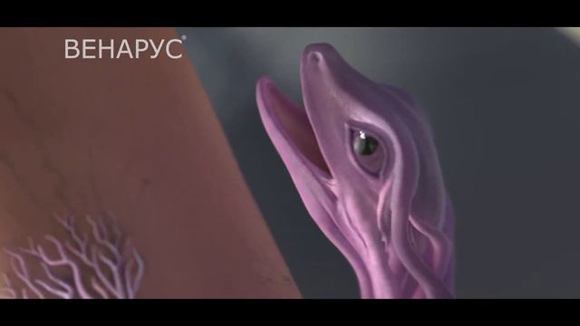 Рекламный ролик Венарус. 2017 смотреть онлайн