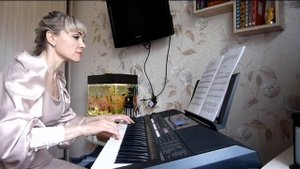 Полет кондора (El Condor Pasa) перуанская мелодия кавер на синтезаторе