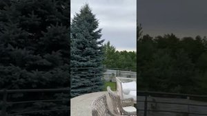 Я любовью Твоею живу. По-украински. На гитаре играет жених
