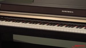 Огляд Kurzweil MP10