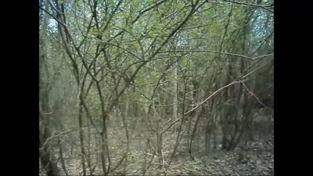 ТАВЛЕИ смотреть онлайн