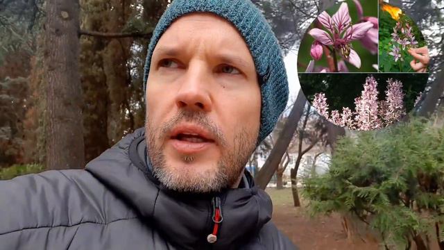 Пять опасностей природы Крыма. смотреть онлайн