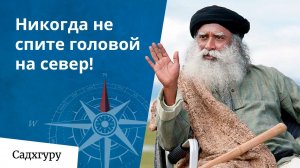 Почему нельзя спать головой на север?
Лучшее положение для сна.