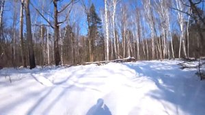 Выживание в тайге. 4 дня на Зимовье. Наедине с тайгой.