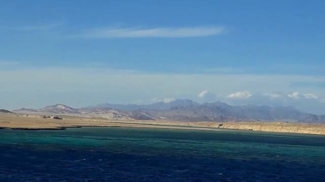 Отдых в  Шарм-Эль-Шейхе в ноябре 2021 года