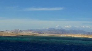 Отдых в  Шарм-Эль-Шейхе в ноябре 2021 года