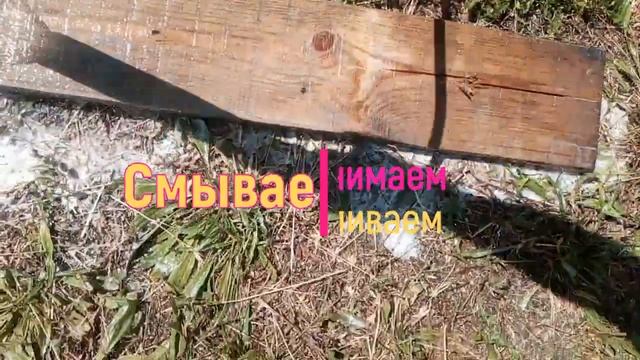 Средство для мытья древесины||Отбеливатель для древесины или как нас обманывают смотреть онлайн