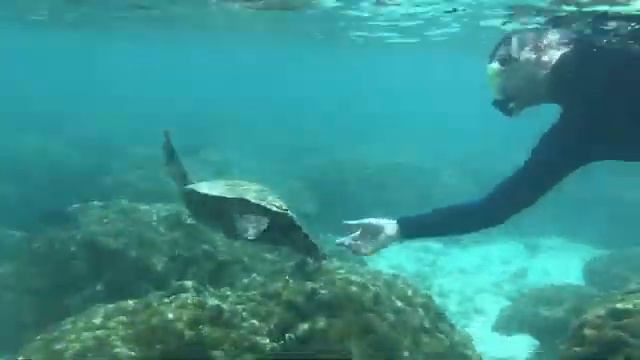 РАЙСКИЕ МАЛЬДИВЫ 2020 🇲🇻 / часть 2