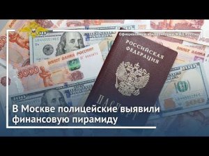 Ирина Волк: В Москве полицейские выявили финансовую пирамиду