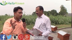 सोने से भी महंगा है यह Bee Venom  || 80 लाख रुपये किलो  || Hello Kisaan