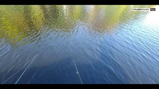 Рыбалка на спиннинг на реке Волге в Хмелевке (ловля окуня и жереха на спиннинг) смотреть онлайн