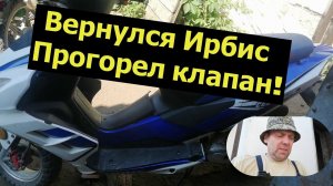 Прогорел клапан на скутере. Вернулся Ирбис.