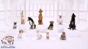 собаки поют песню в рекламе Фольксваген