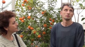 Зимний сад,  или оранжерея в доме.Сайт "Садовый мир"