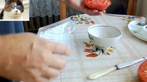 Как правильно собрать и сохранить семена помидор