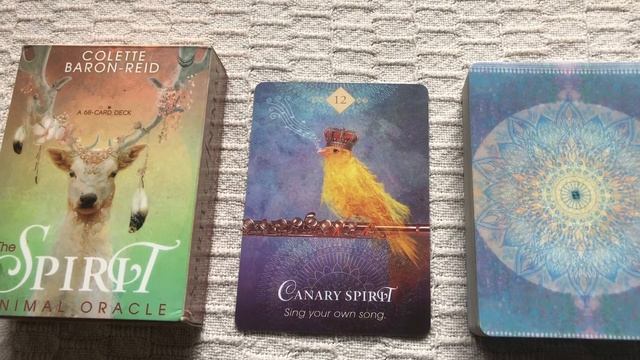 The Spirit Animal Oracle 12/68 guide book audio description смотреть онлайн