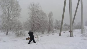 лебедка лягушка 1