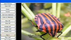 GdViewer Pro ActiveX Free Download