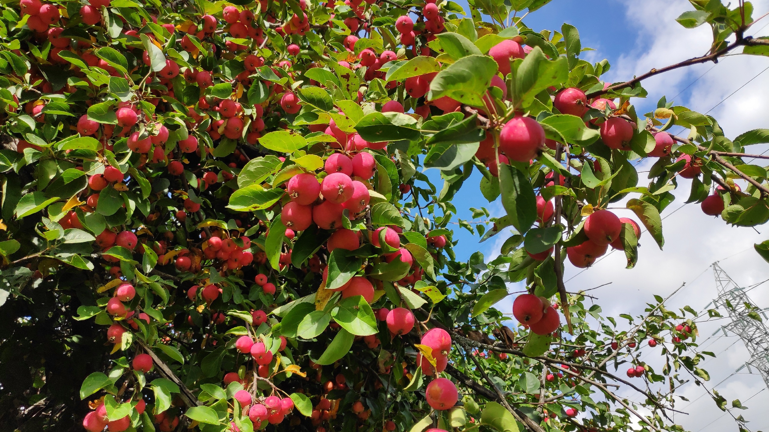 Пошли в лог в заброшенные сады 5 сент 2023 смотреть онлайн