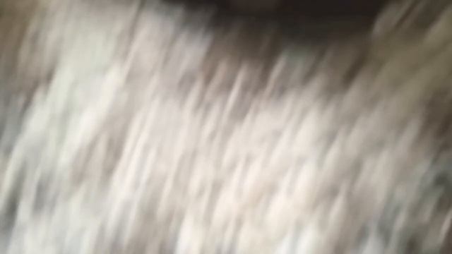 Обзор на кепку Поло и C.P COMPANY. смотреть онлайн