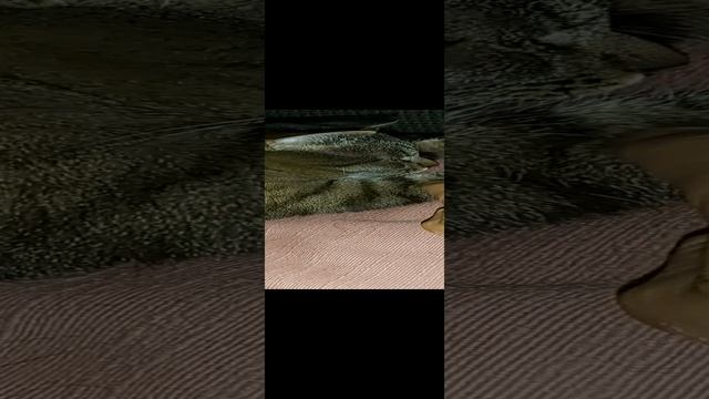 европа в #опе смотреть онлайн