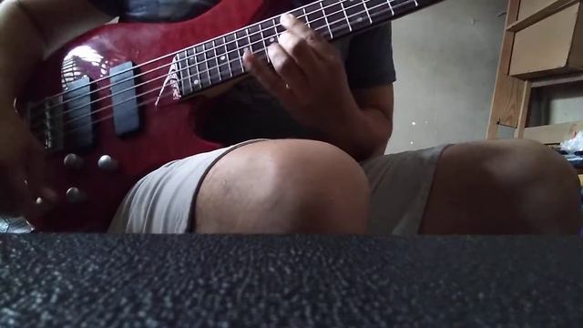 BAJO AILEEN 5 CUERDAS ACTIVO EN VENTA EN MONTERREY смотреть онлайн