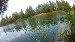 Твичинг. техника, ошибки и рекомендации. Поиск хищника в бесклевье и воблера из Китая