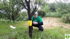 ЛОВЧИЙ ПОЯС ОТ МУРАВЬЕВ за 5 минут