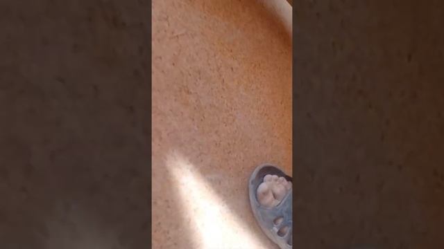 укладка на тонкую фанеру комерческого Линолеума что будет в дальнейшем смотреть онлайн