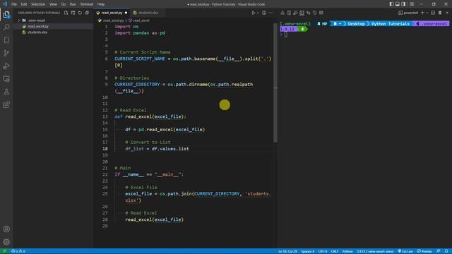 Python Beginner Tutorial - 15. Read Excel (Using Pandas)