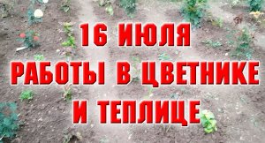 16 июля. Работы в цветнике и теплице.mp4