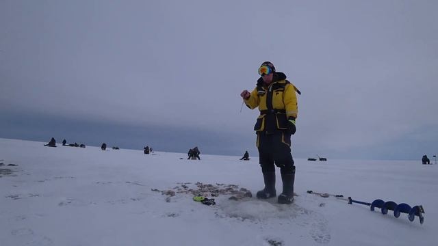Ладога | Попал на хорошую стаю окуня смотреть онлайн