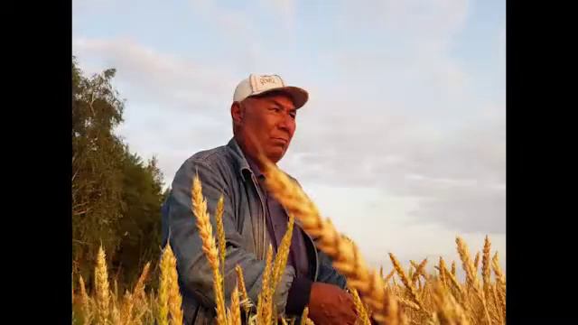 Базарбеков Калымбек 70 лет поздравление сына смотреть онлайн