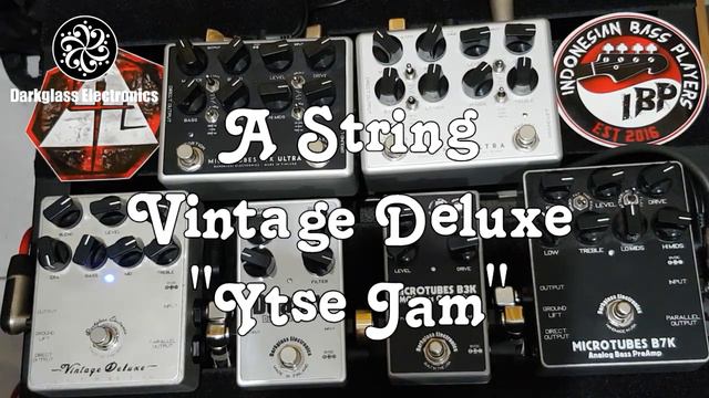 6 Darkglass Pedals in 6 Different Strings (Bass Track Only) смотреть онлайн