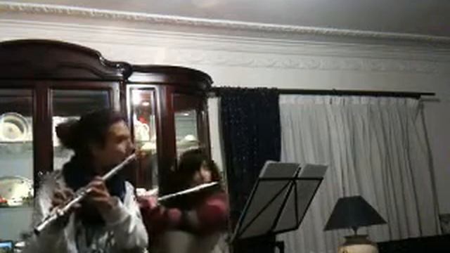 François Devienne six sonates em duo 1ª Sonata (1º andamento) смотреть онлайн