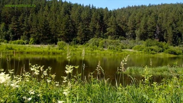 Посёлок Тирлянский — Наш Урал смотреть онлайн