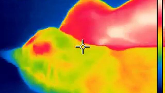 Thermo head scritches! смотреть онлайн