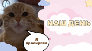 Наш день